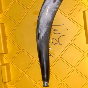 Bull Blow Horn …. straight out of the barn